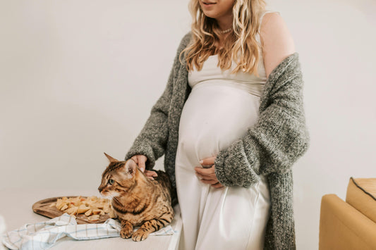 Understanding Toxoplasmosis During Pregnancy